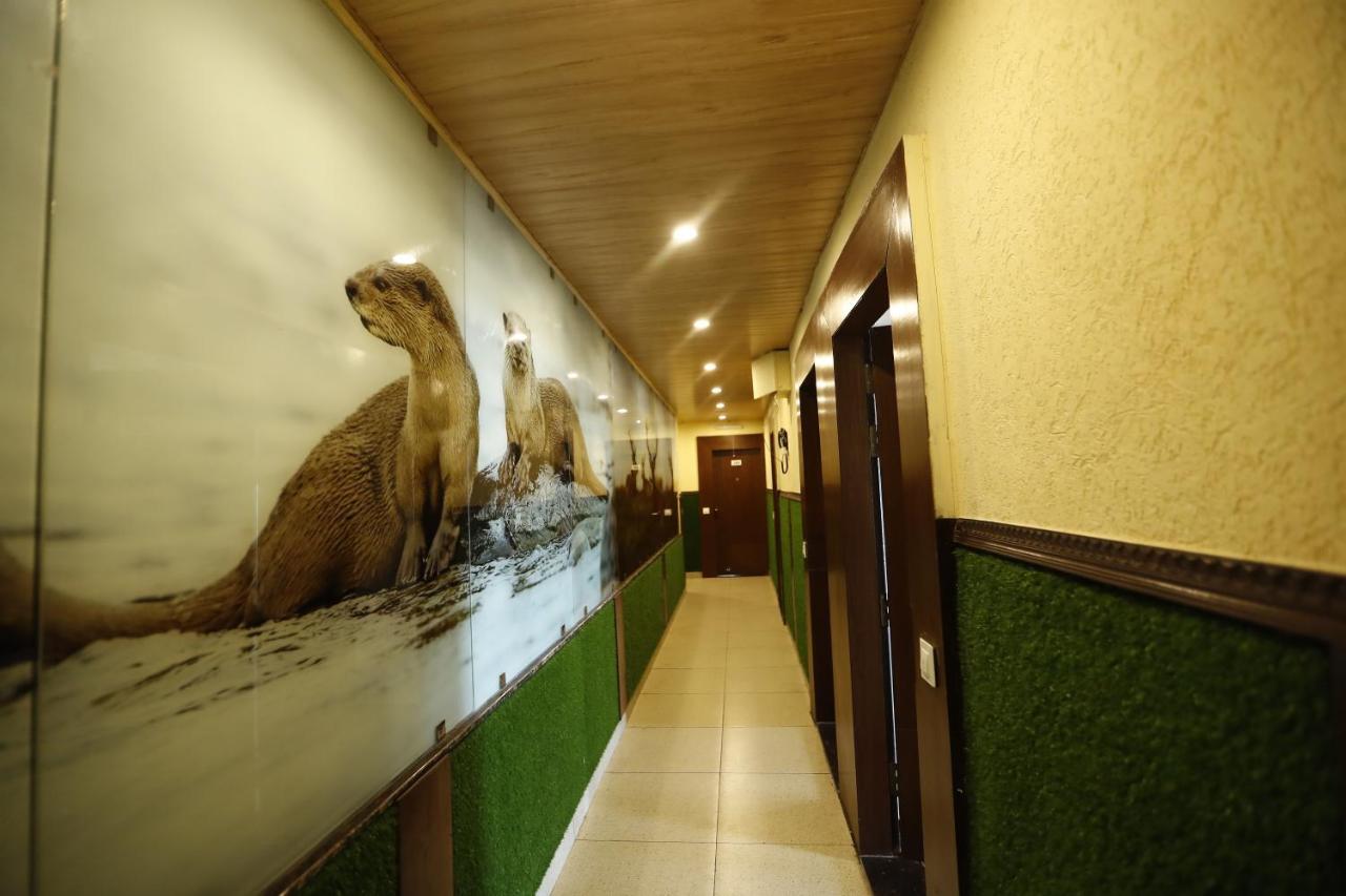 Hotel Kings Inn Mussoorie Dış mekan fotoğraf